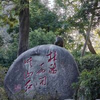 評論圖片 4