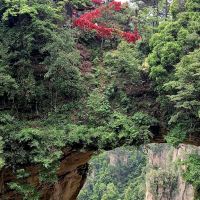評論圖片 2