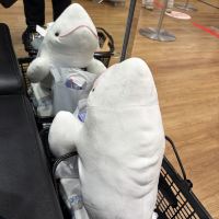 評論圖片 1