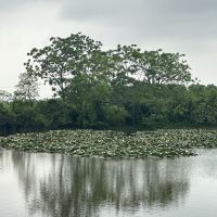 評論圖片 9
