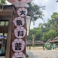 評論圖片 1