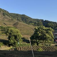 評論圖片 1