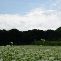 評論圖片 4