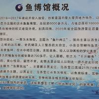 評論圖片 8
