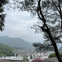 評論圖片 4