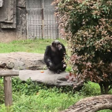 評論圖片 4
