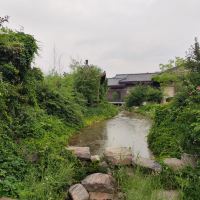 評論圖片 4