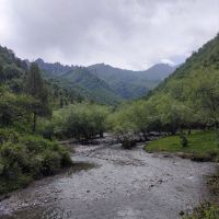 評論圖片 5