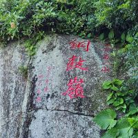 評論圖片 3