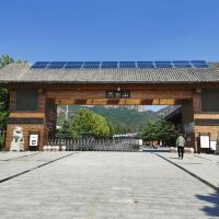 評論圖片 6