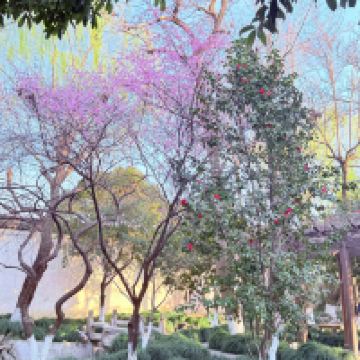 評論圖片 9