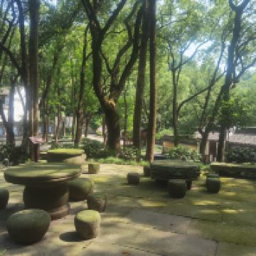 評論圖片 1