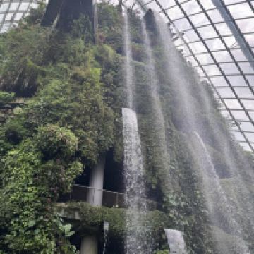 評論圖片 1