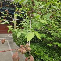 評論圖片 2