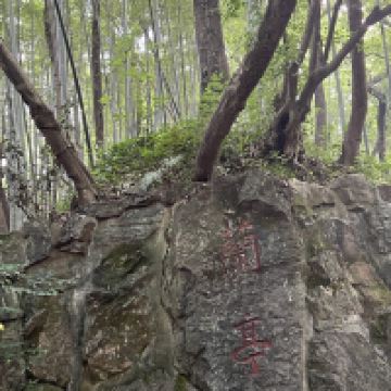 評論圖片 1