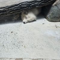 評論圖片 3
