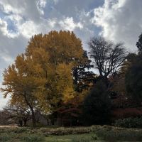評論圖片 3