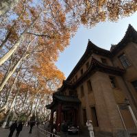 評論圖片 1