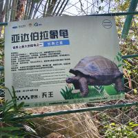 評論圖片 4