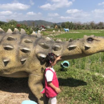 評論圖片 6