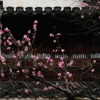 評論圖片 6