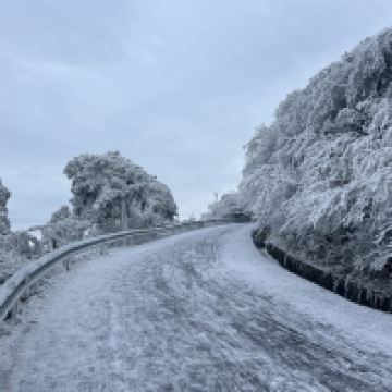 評論圖片 6