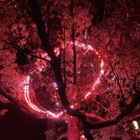 評論圖片 6