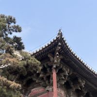 評論圖片 9