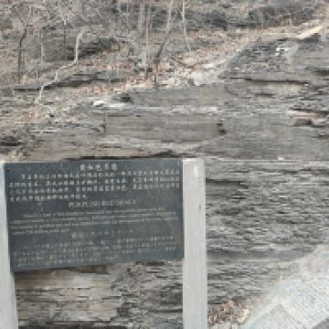 評論圖片 3
