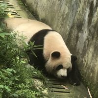 評論圖片 2