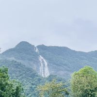 評論圖片 2
