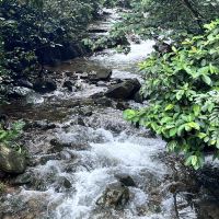 評論圖片 7