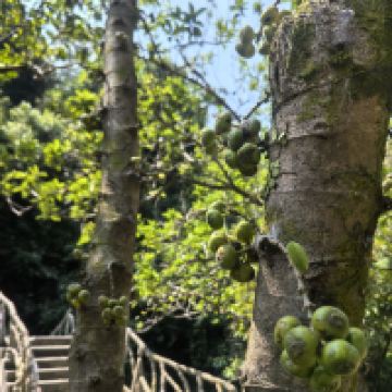 評論圖片 1