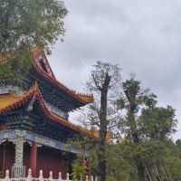 評論圖片 6