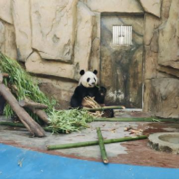 評論圖片 9