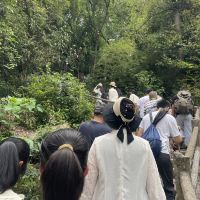 評論圖片 7