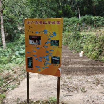 評論圖片 7
