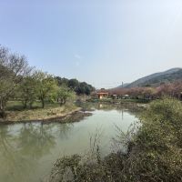 評論圖片 1