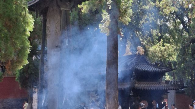 review picture