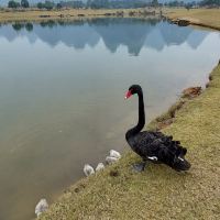 評論圖片 6