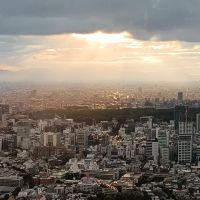 評論圖片 6