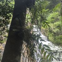 評論圖片 1