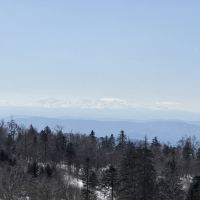 評論圖片 9