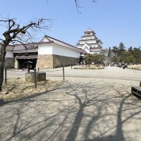 評論圖片 3