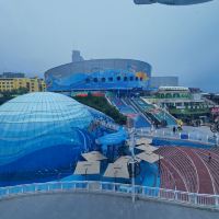 評論圖片 6