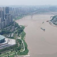 評論圖片 6