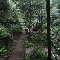 評論圖片 4