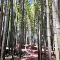 評論圖片 4