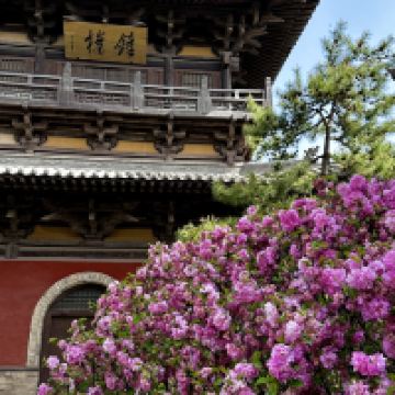 評論圖片 1