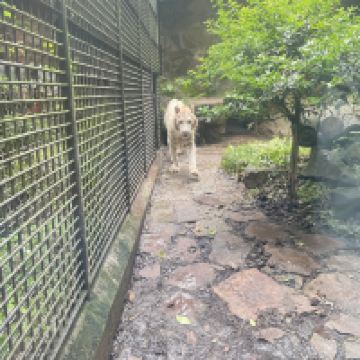評論圖片 5